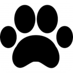 Animal Position