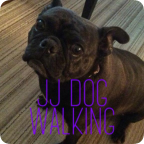 JJ DOG WALKING