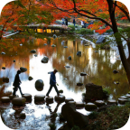 Tokyo Suney