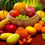 İZMİT HAL TEDARİK