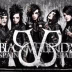 BvB