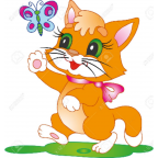 fondos gatitos miaw