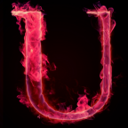 Ubica-T