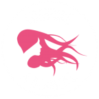 Coiffure Domicile Réunion
