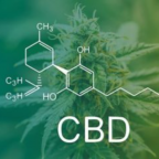 CBD-SHOP GRAINES DE CANNABIS