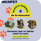 Nicopet