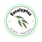 Eucalyptus