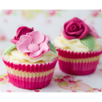 Repostería para principiantes