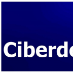 Ciberdelitos