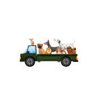 Movilpet