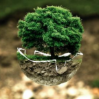 Medio ambiente