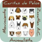 Caritas de Pelos