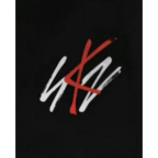Stray kids music app